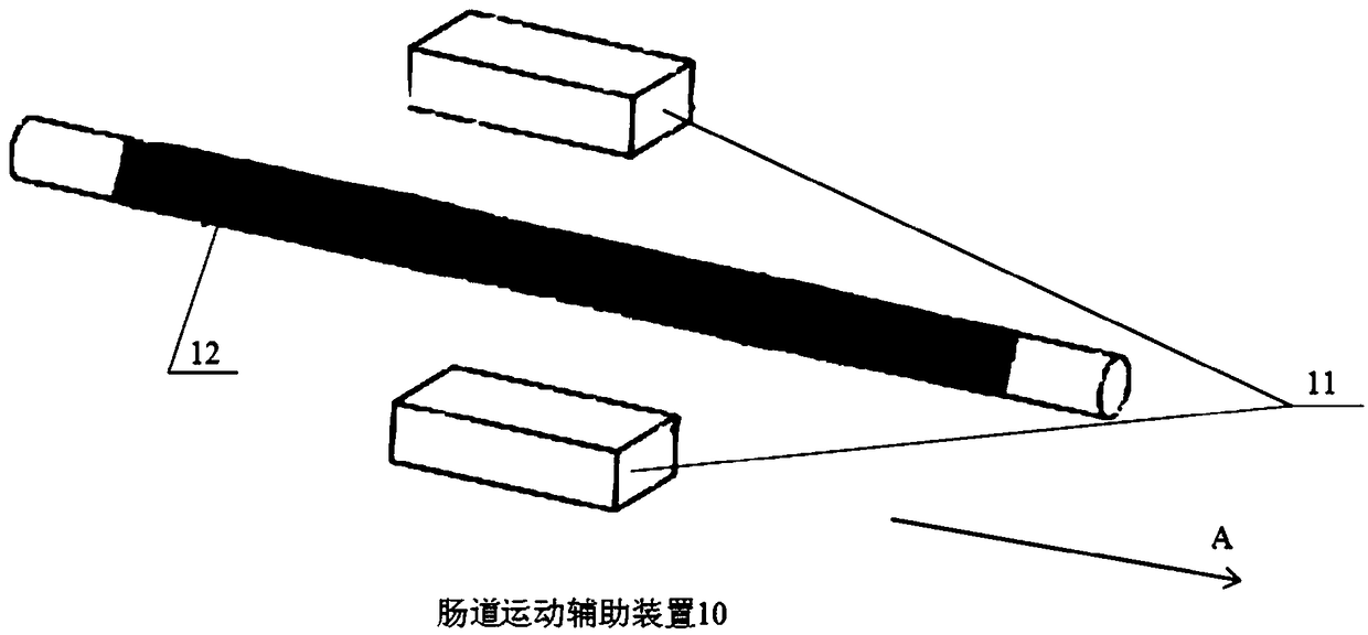 Intestinal movement auxiliary device