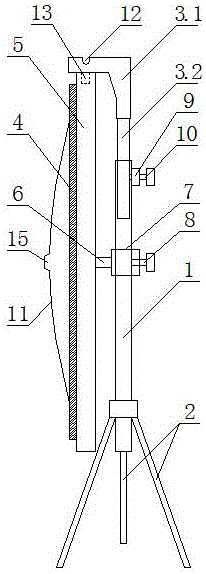 Projection curtain support having stable use state