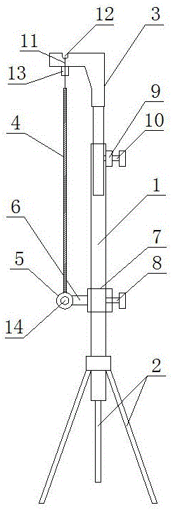 Projection curtain support having stable use state
