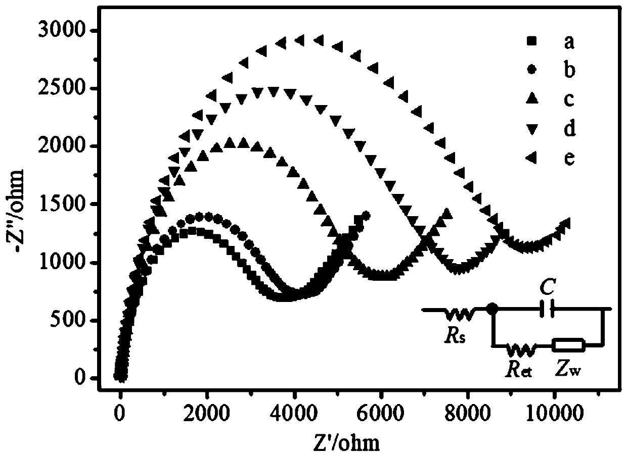 Method for detecting miRNA-21 based on electrochemical alternating current impedance