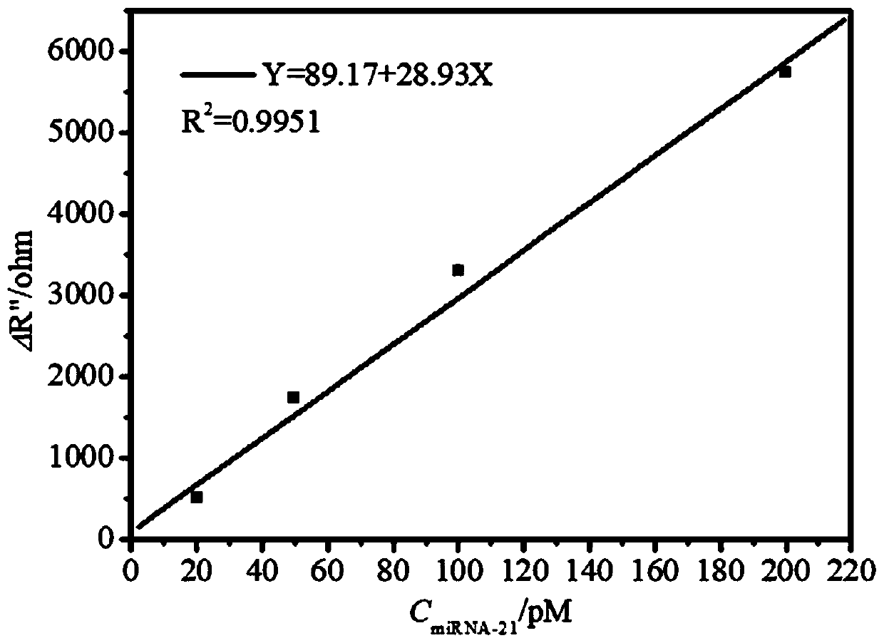 Method for detecting miRNA-21 based on electrochemical alternating current impedance