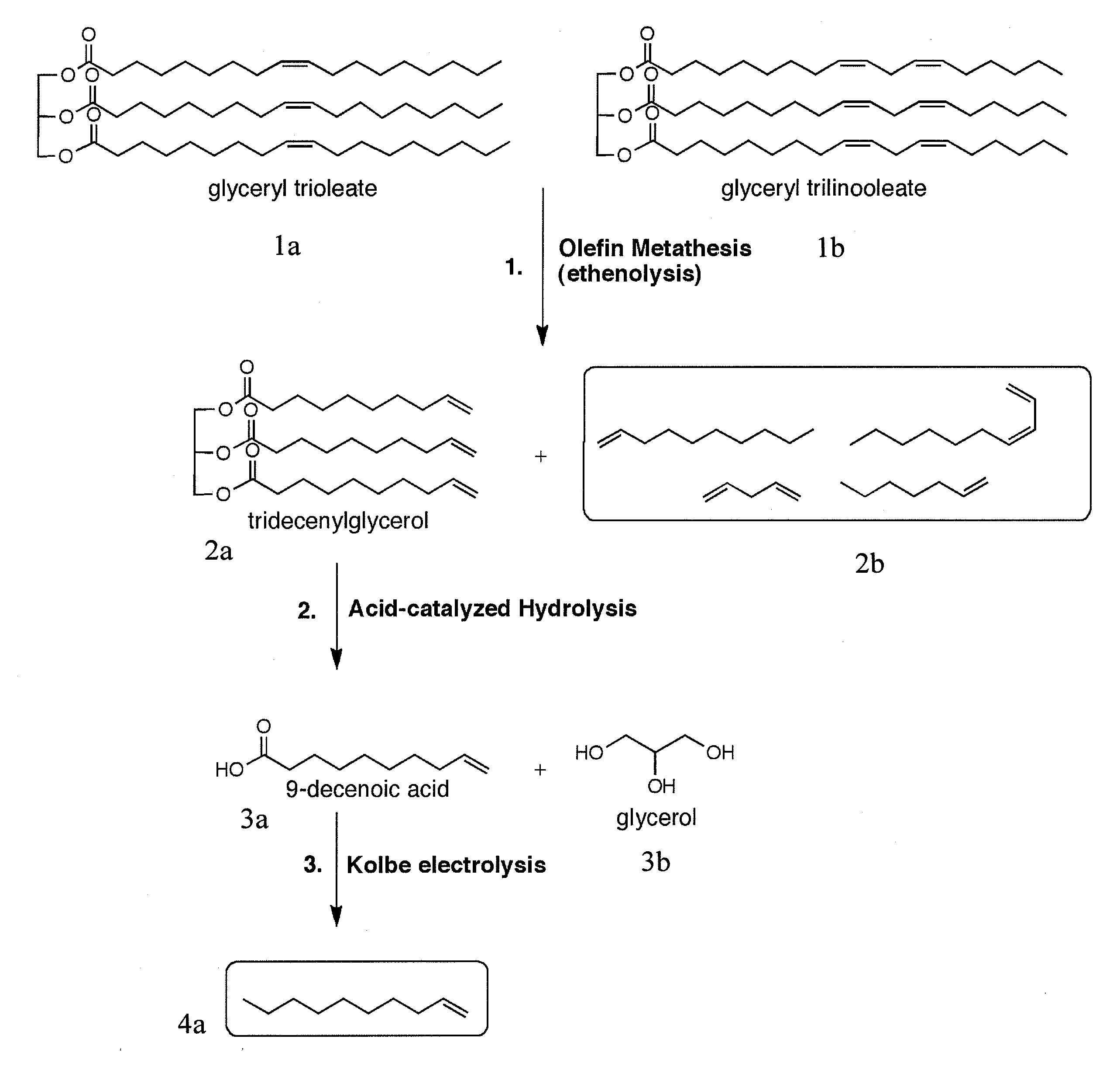 Production of hydrocarbon fuels from plant oil and animal fat