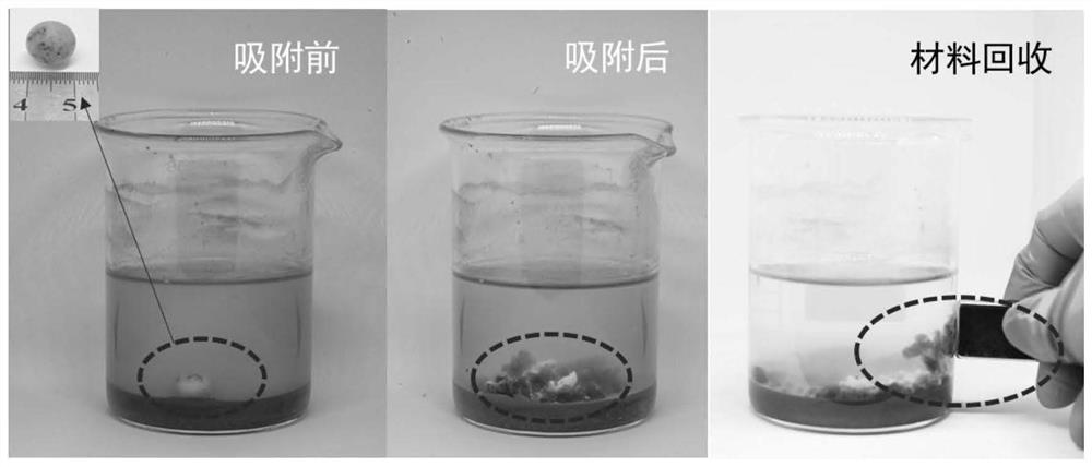 A kind of soil heavy metal removal composite material and its preparation method and application