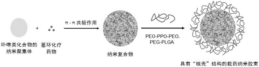 Tumor-targeted sound and light power medicine-carrying nanometer nano-micelle, and preparation method and purpose thereof