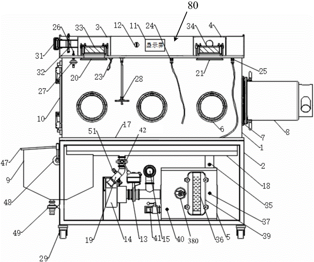 Biological safety negative pressure isolator for poultry