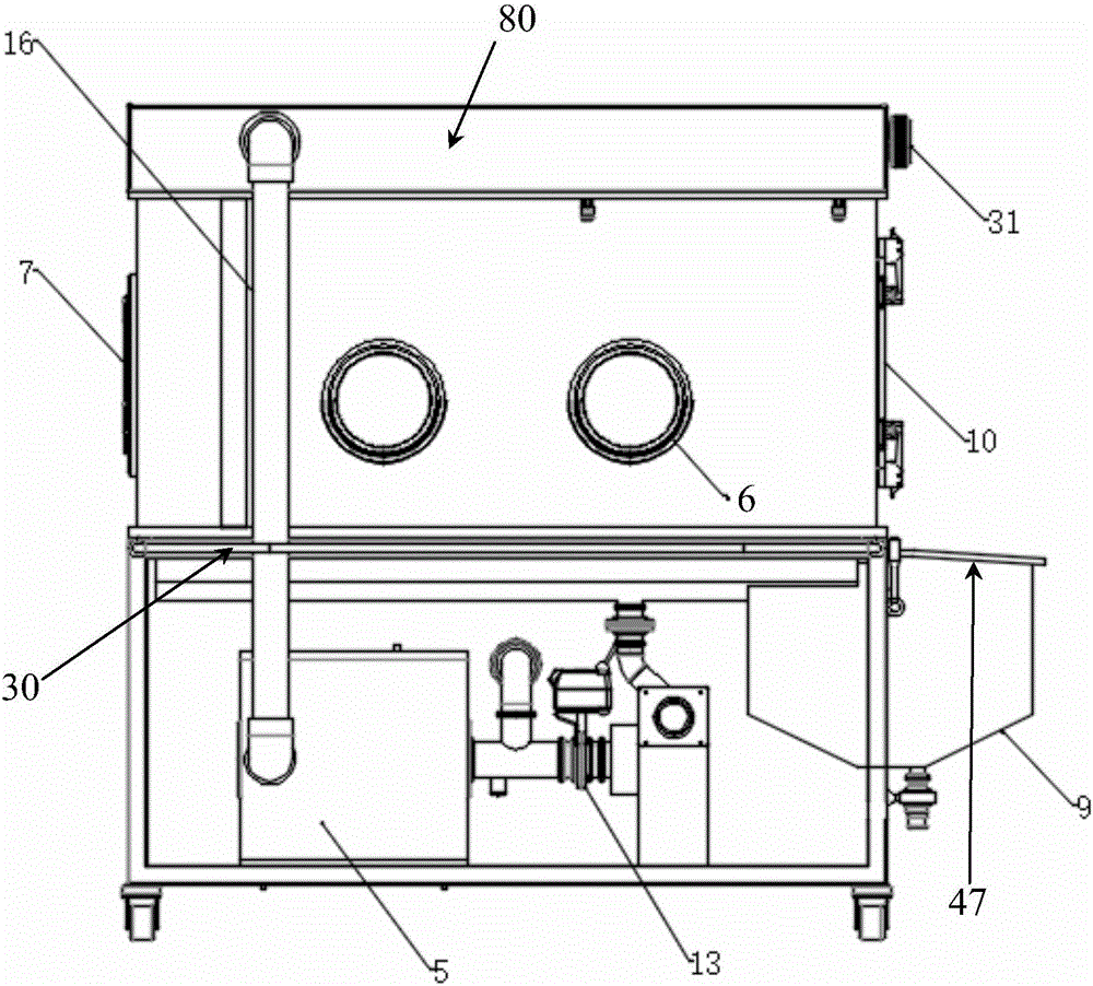 Biological safety negative pressure isolator for poultry