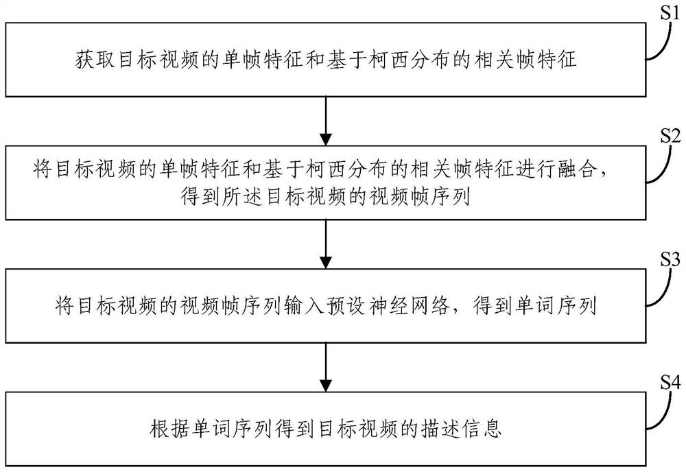 Video frame description information acquisition method and device and electronic equipment