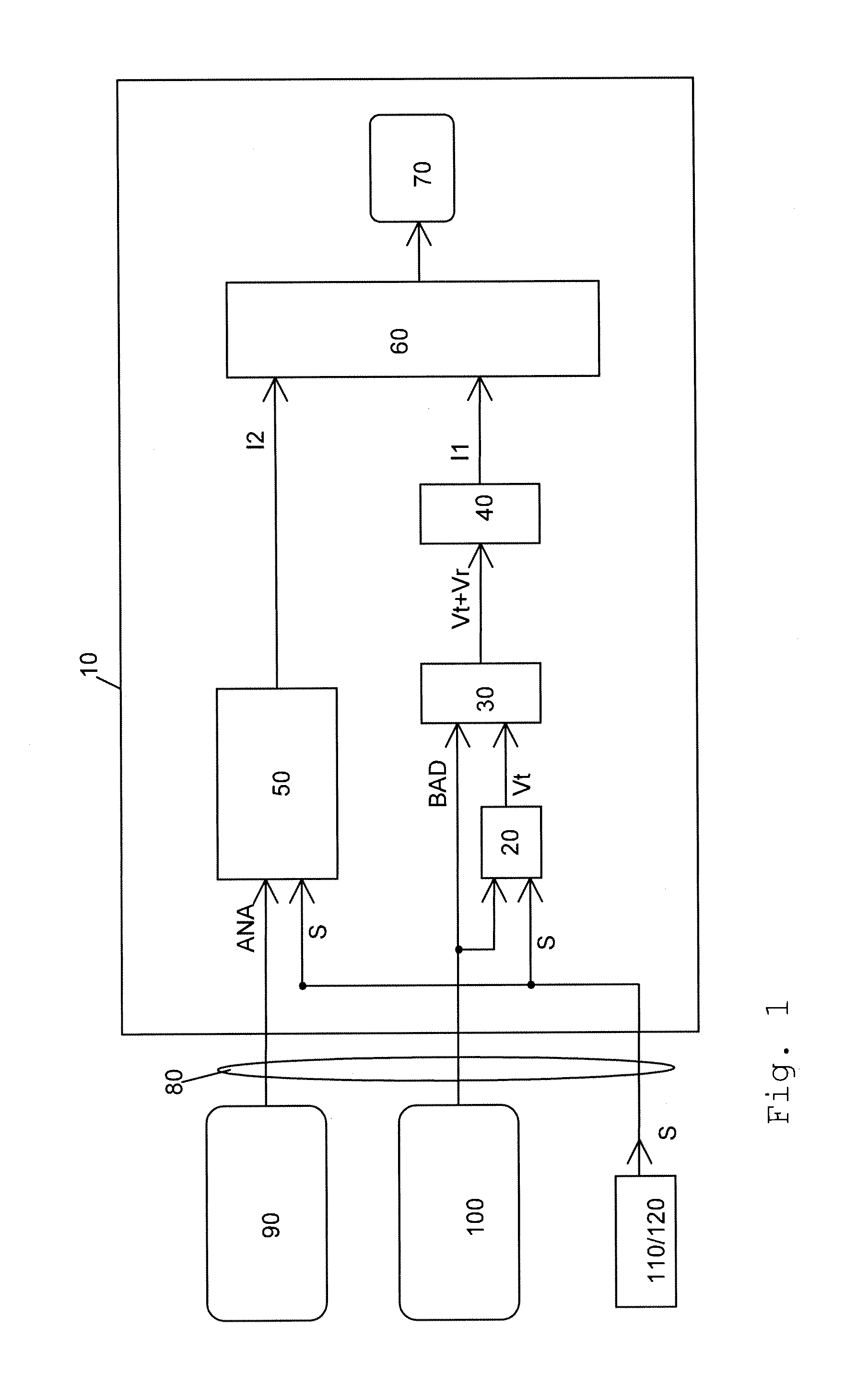 Method and device for visualizing human or animal brain segments