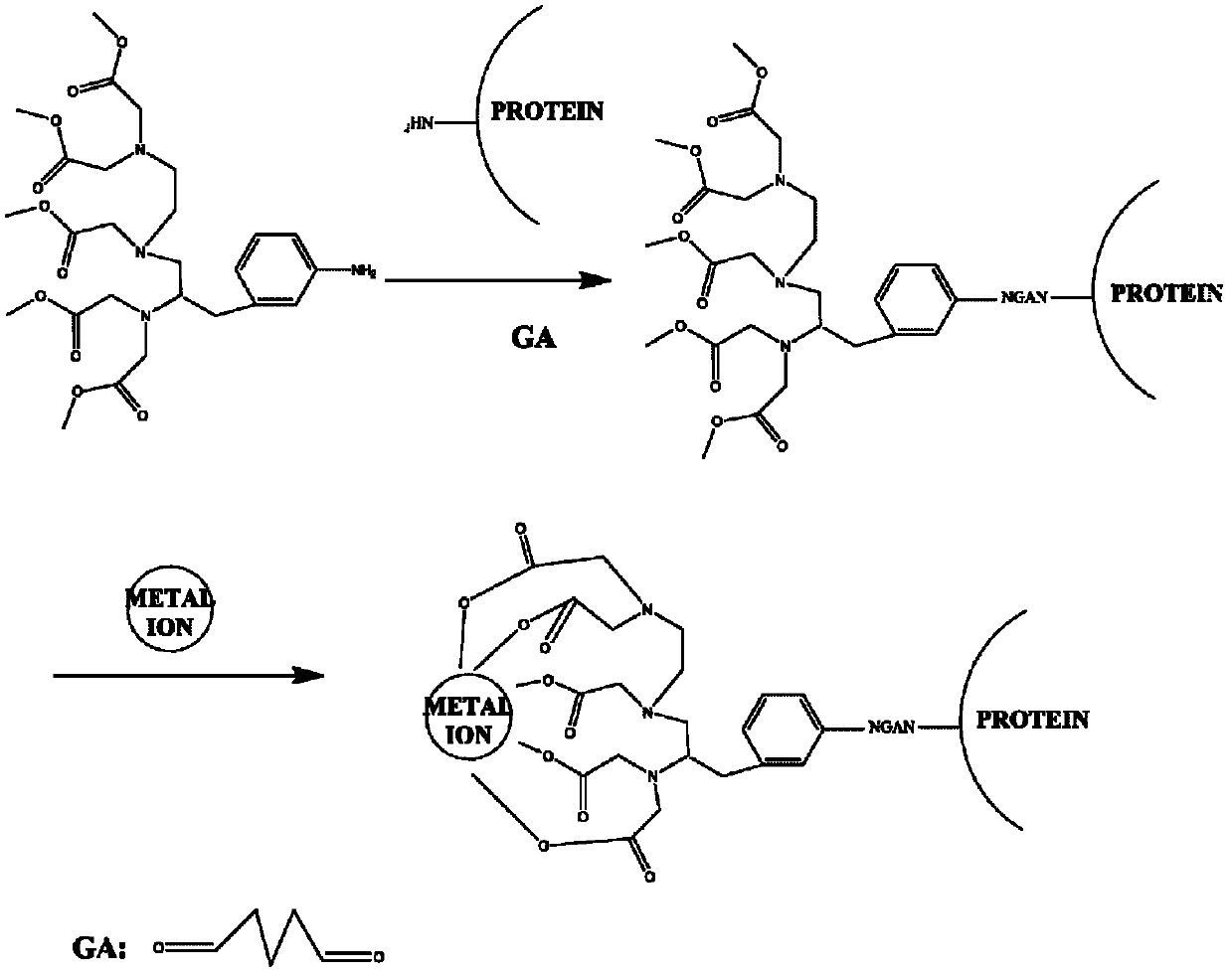 Synthesis and application method of antigens for various heavy metals