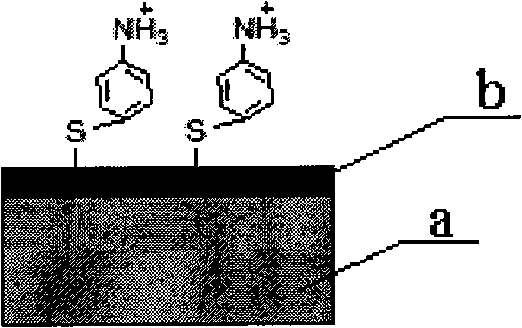 Method for separating genistein monomer from daidzein monomer