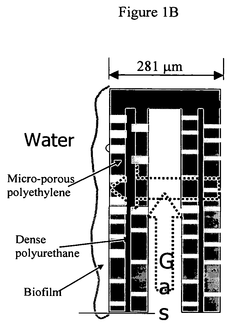 Methods for total nitrogen removal from waste streams