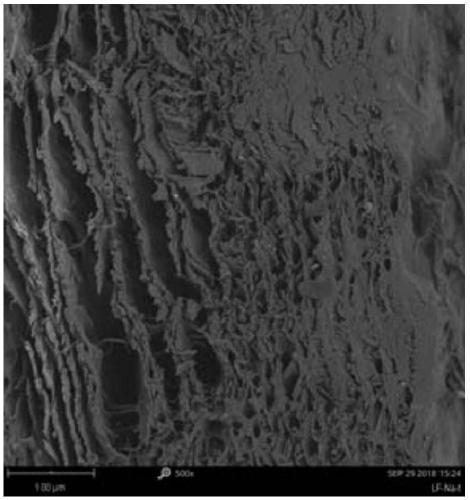 Preparation method and application of decellularized fishskin substrates