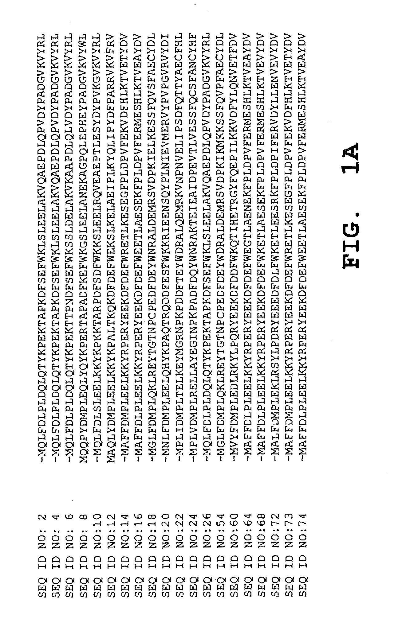 Enzymatic peracid production using a cosolvent