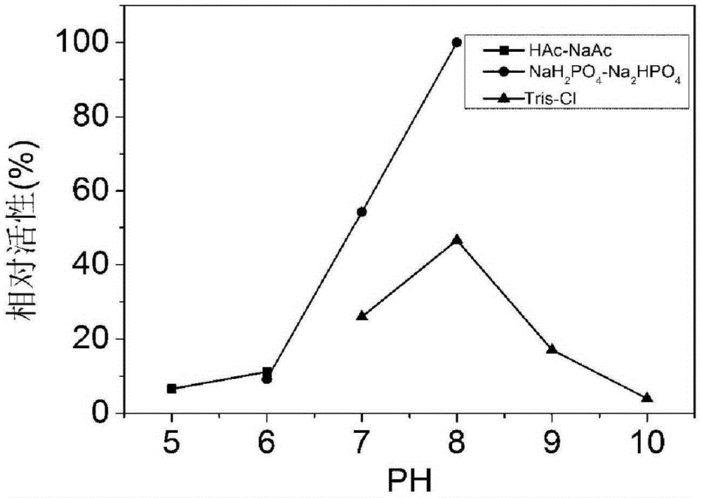 Endochondroitin sulfate/dermatan sulfate 4-o-sulfatase and its coding gene and application