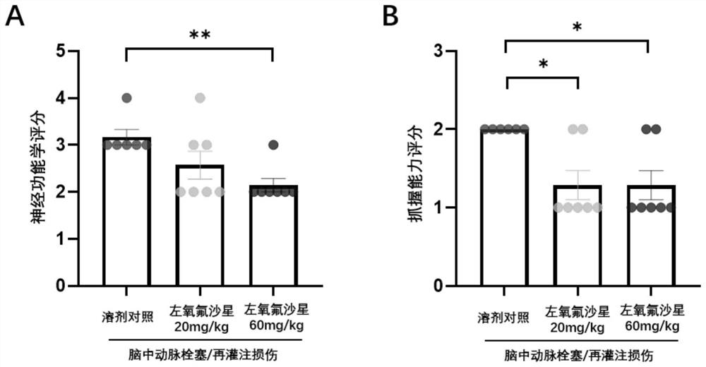 Application of levofloxacin or pharmaceutically acceptable salt thereof in preparation of drugs or health products for resisting cerebral ischemia-reperfusion injury