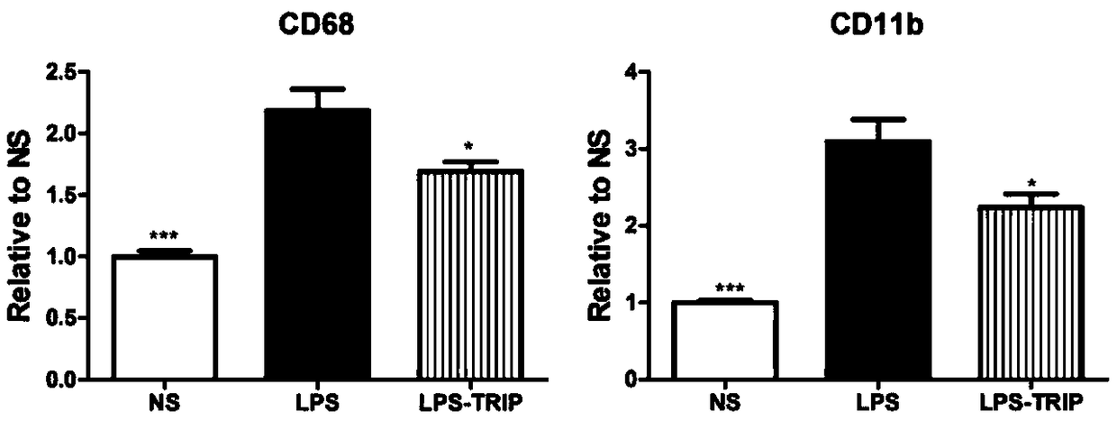 New applications of triptorelin