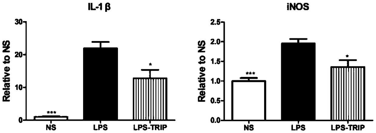 New applications of triptorelin