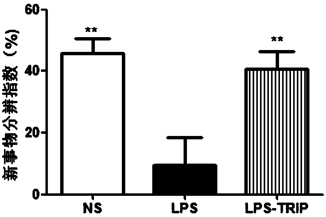 New applications of triptorelin