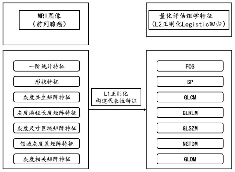 Feature analysis method and system based on incoherent motion image in voxel