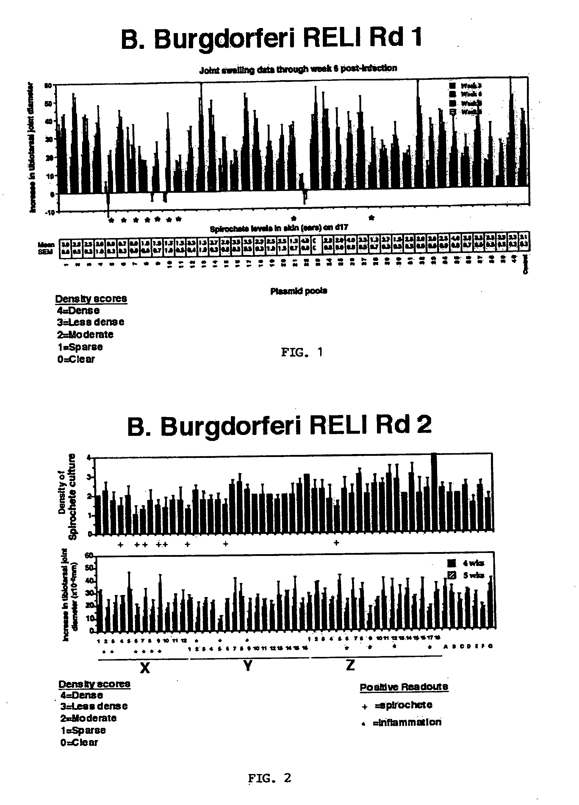 Methods and compositions for vaccination comprising nucleic acid and/or polypeptide sequences of the genus Borrelia