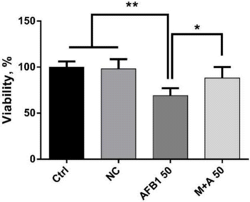 Application of MT (Metallothionein) gene serving as target gene for preventing and treating AFB1 (Aflatoxin B1) caused hepatic injury of duck