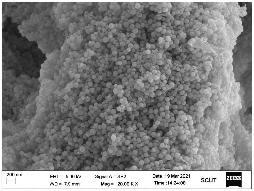 Mesoporous silicon loaded with hyaluronic acid and resveratrol as well as preparation method and application thereof