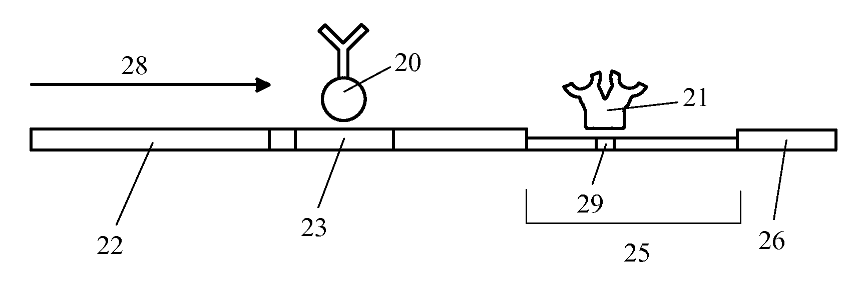 Method to increase specificity and/or accuracy of lateral flow immunoassays