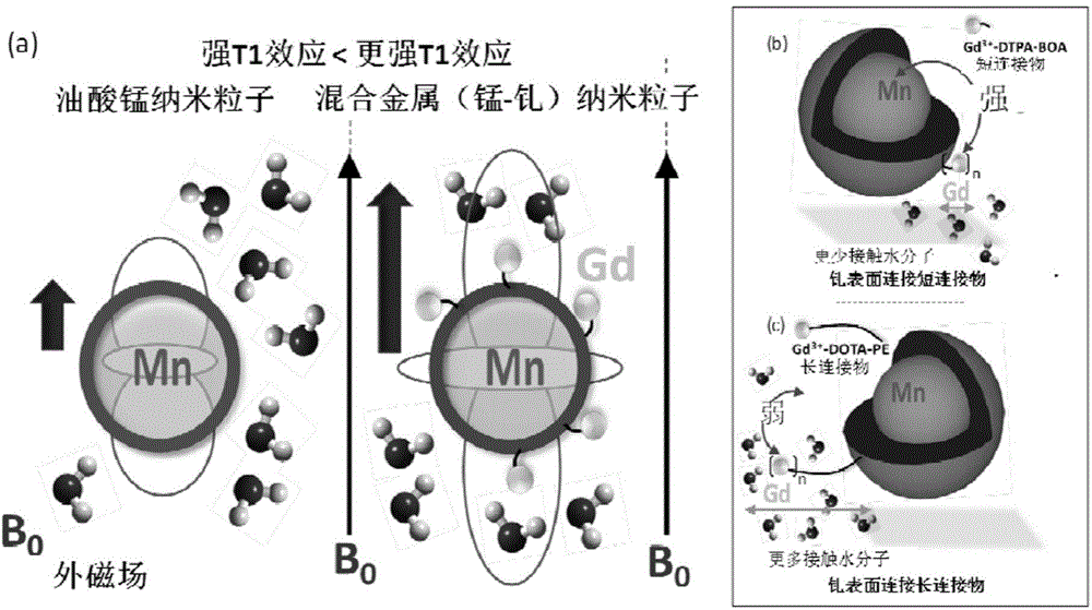 Manganese gadolinium heterozygous bimetallic paramagnetic nanocolloid and application in preparation of magnetic resonance imaging contrast material thereof