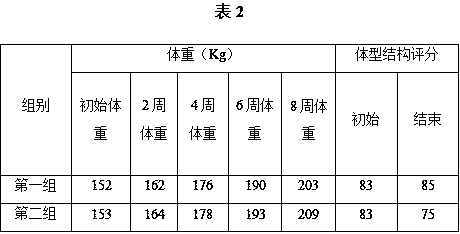 Feed for beef cattle at early fattening period