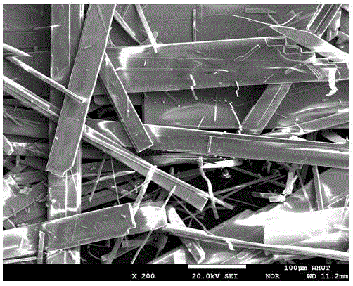 Novel NiAl-based solid self-lubricating composite material and preparation process thereof