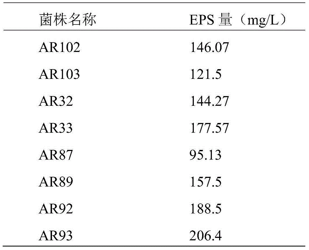 Lactobacillus paracasei and application thereof