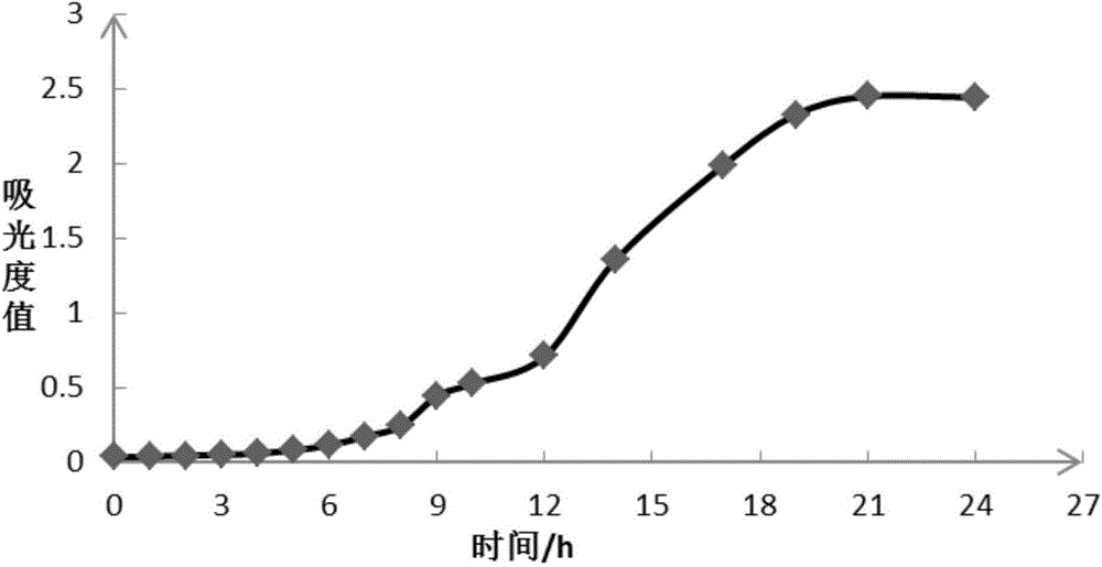 Lactobacillus paracasei and application thereof