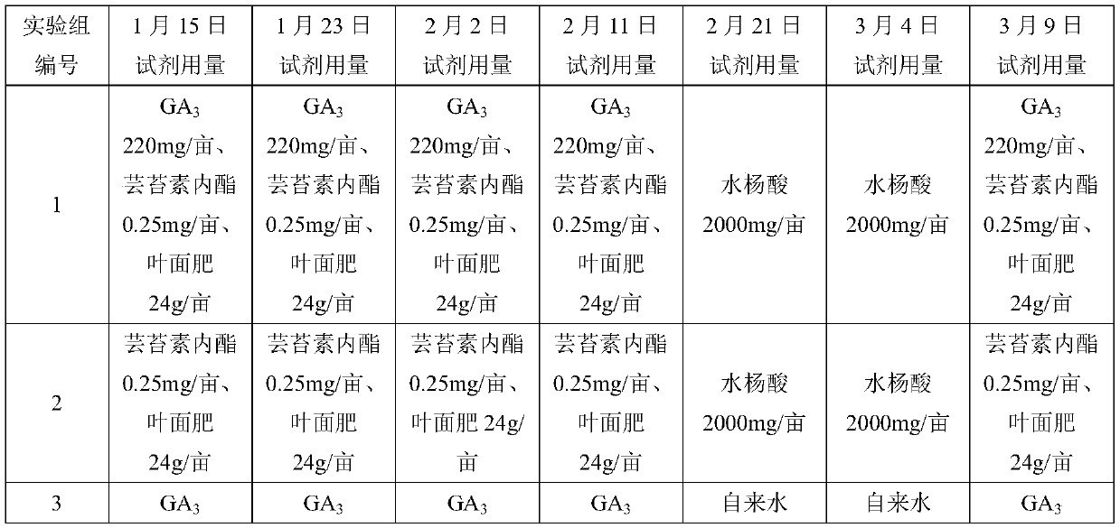 Method of regulating Polygonum viviparum blossoming and bulbil sprouting in meantime