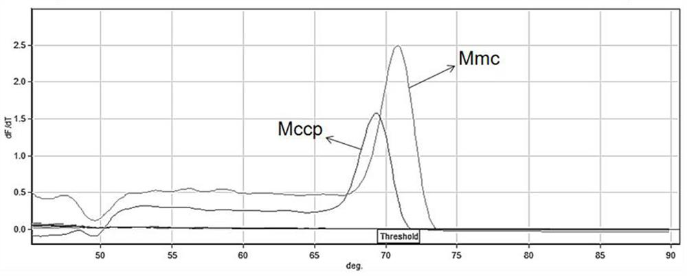 HRM primers and methods for differentiating Mycoplasma capricosum subsp.