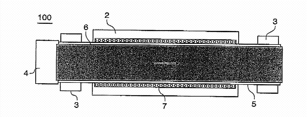 Electrode dryer and method for drying electrode