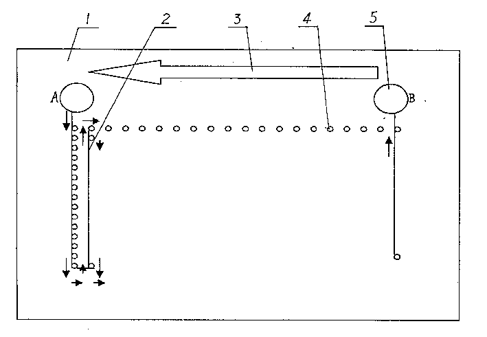 Immune cell microfluid array