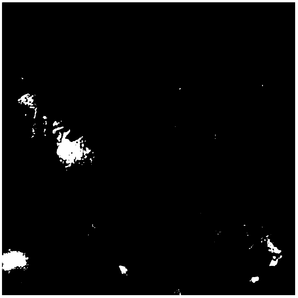 Preparation method of magnetic orientation carbon nano tube reinforced glass fiber epoxy composite material