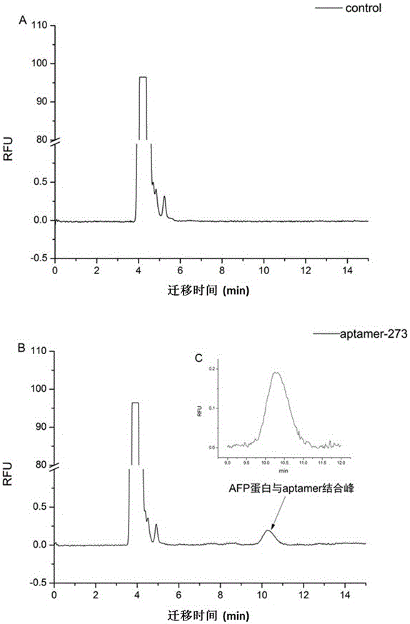 A screening method for nucleic acid aptamers specifically binding to alpha-fetoprotein