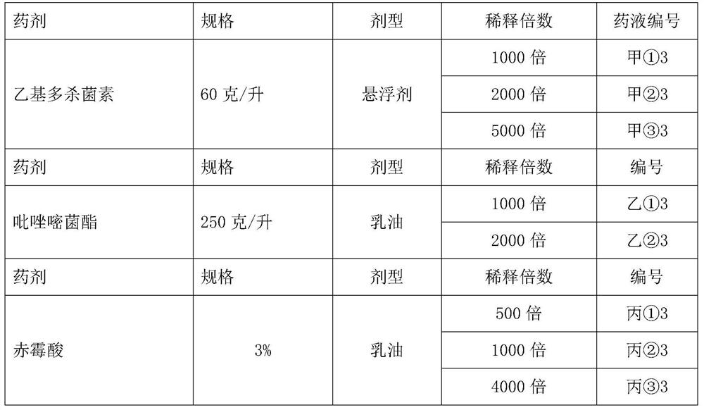 Spreading agent for mango and its preparation method and application