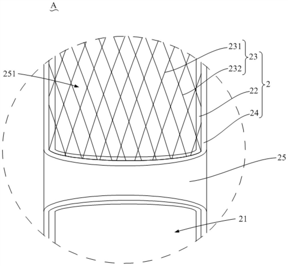 Angiography catheter and angiography device