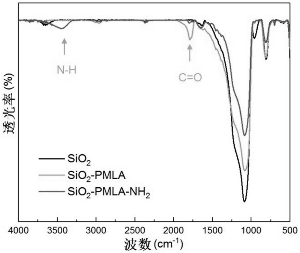 Lactide-derived chiral stationary phase as well as preparation method and application thereof