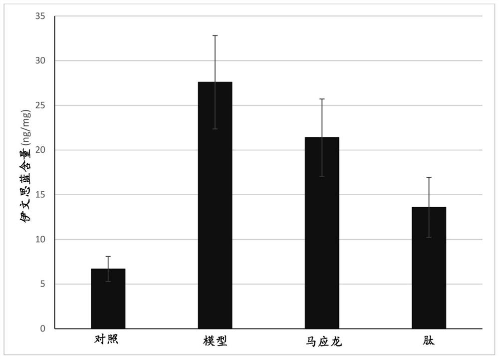 Novel peptides