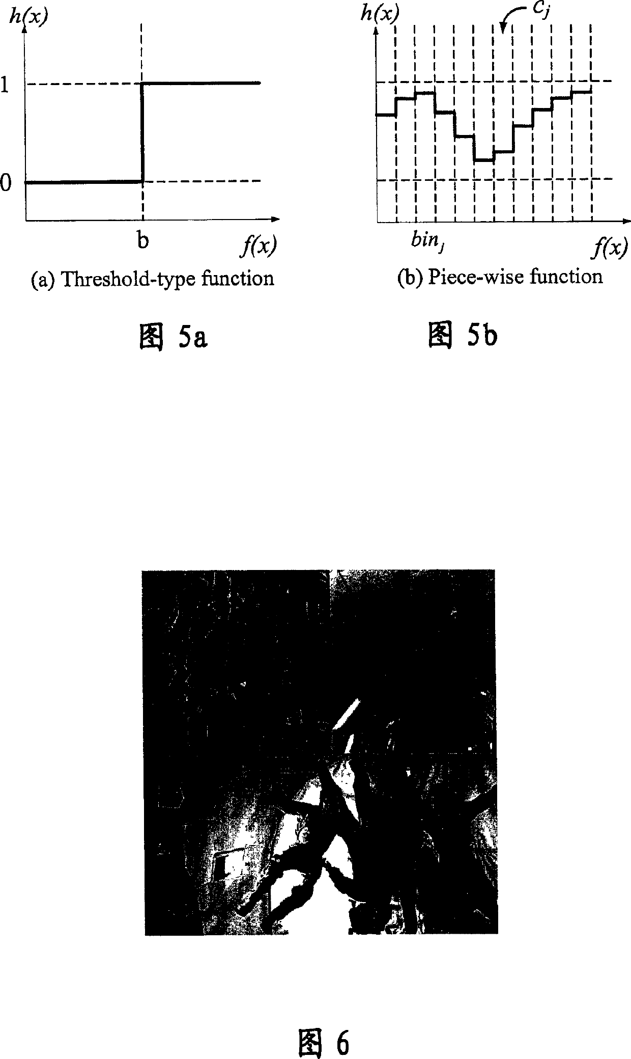 Testing apparatus and method for special object