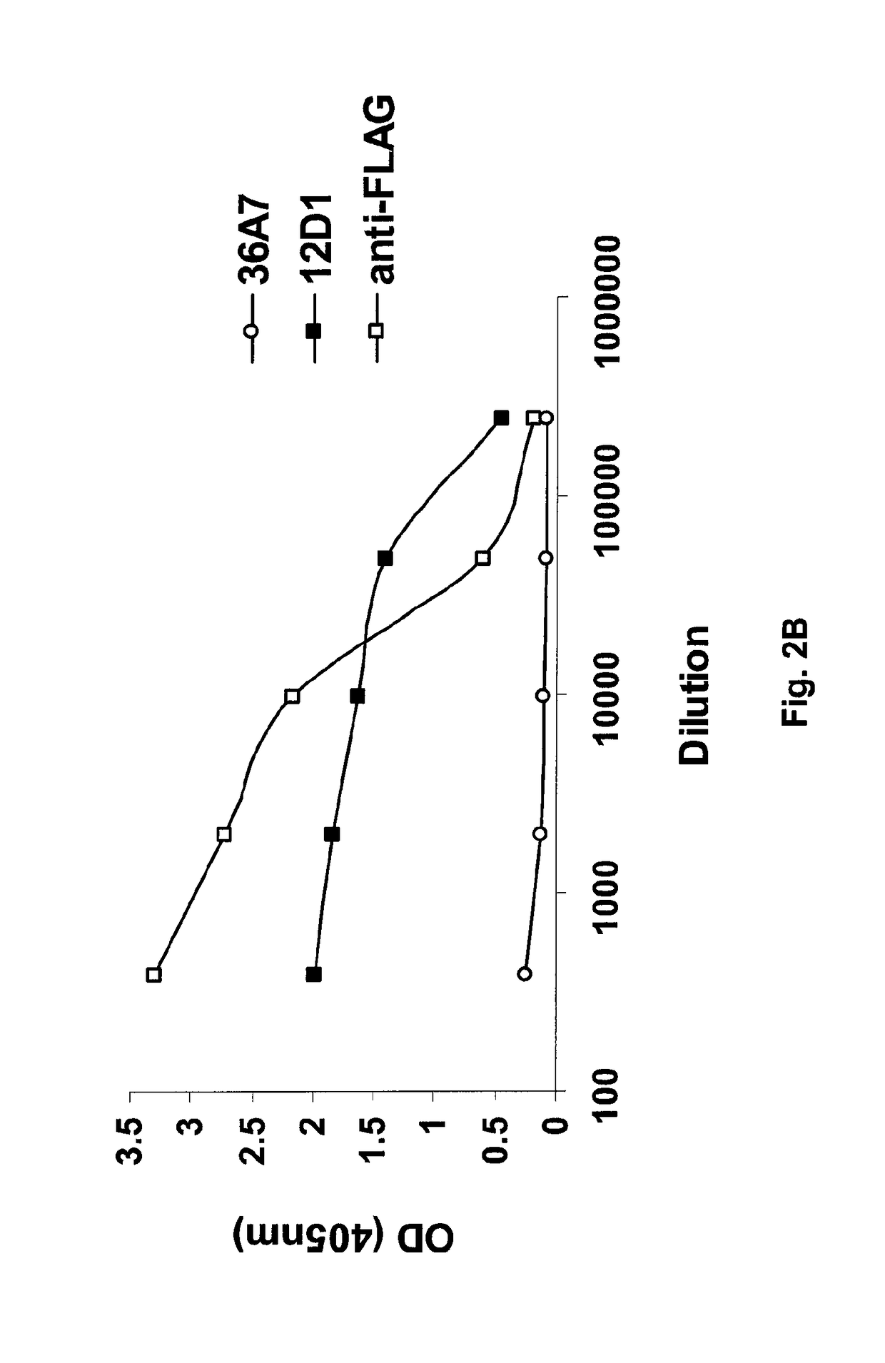 Vaccines for use in the prophylaxis and treatment of influenza virus disease