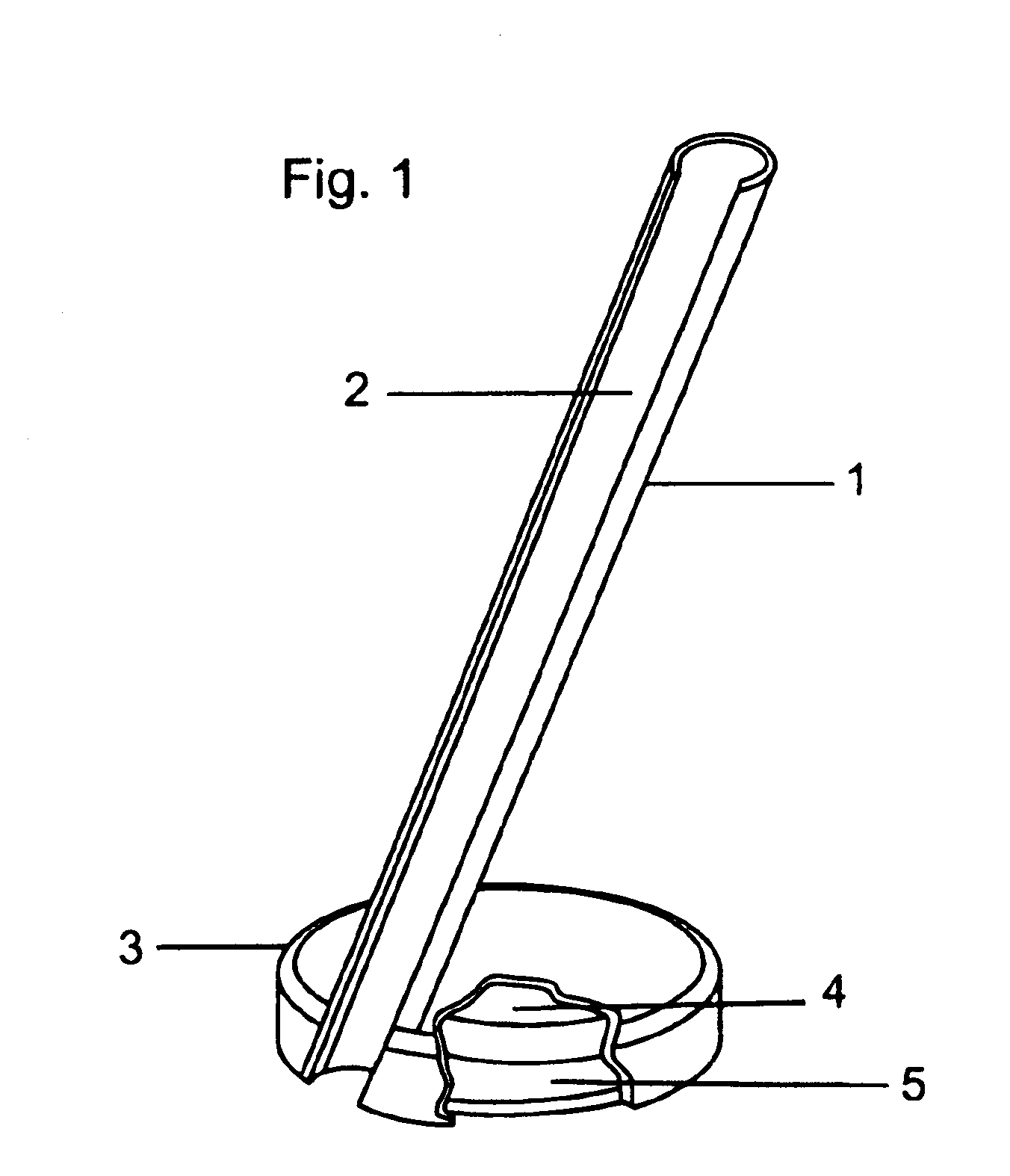 Magnetic writing apparatus