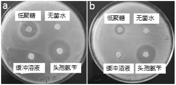 Method for preparing melon rind pectin oligosaccharide with bacteriostatic activity by utilizing immobilized enzyme