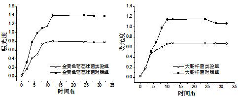 Method for preparing melon rind pectin oligosaccharide with bacteriostatic activity by utilizing immobilized enzyme