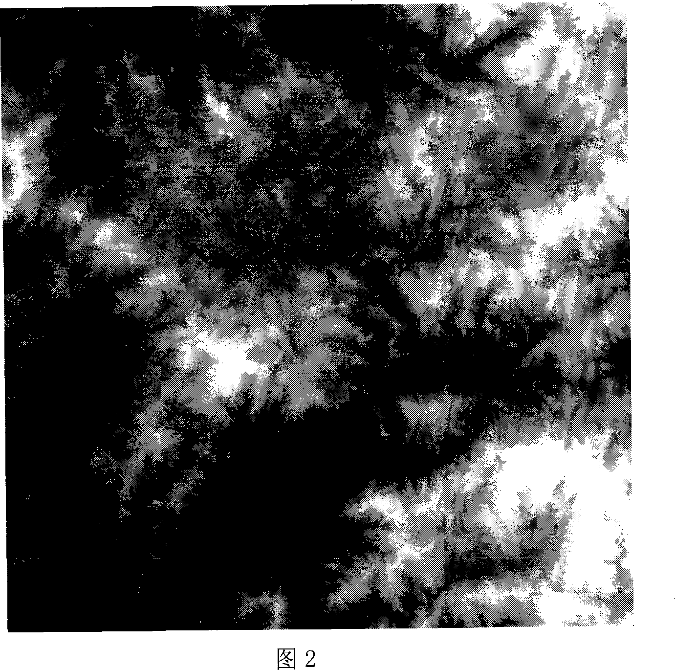 Method for eliminating shadow on remote sensing digital image and recovering picture element remote sensing value in shadow