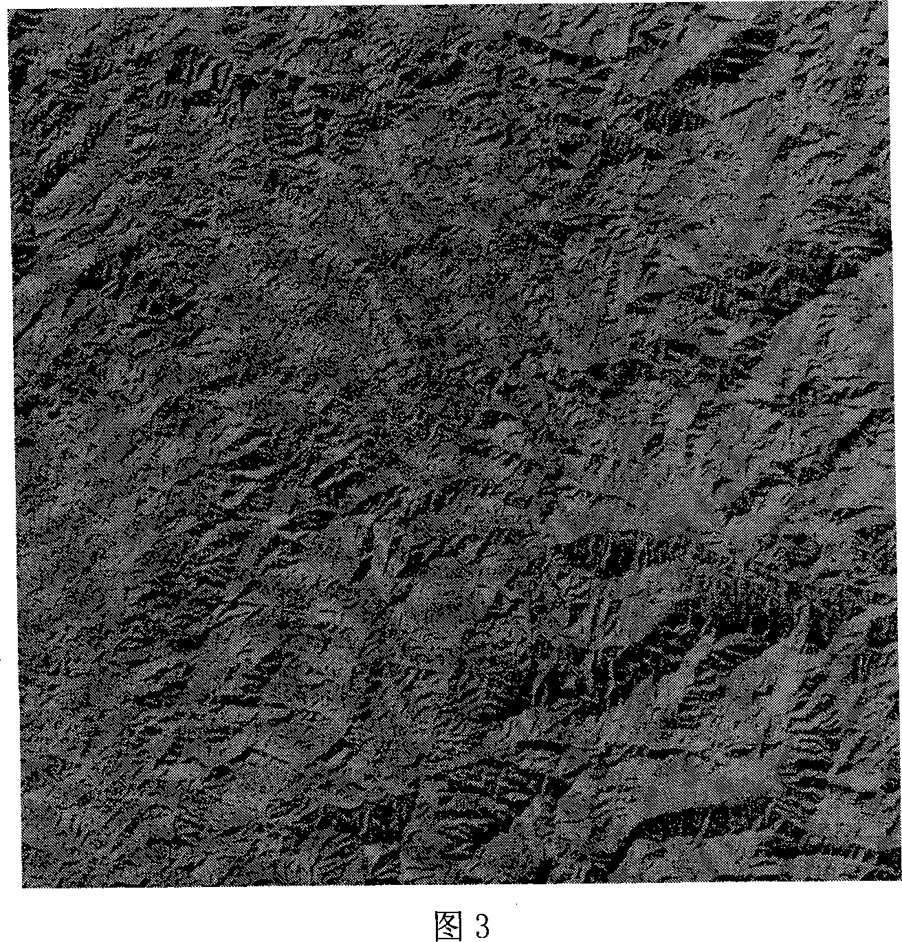 Method for eliminating shadow on remote sensing digital image and recovering picture element remote sensing value in shadow