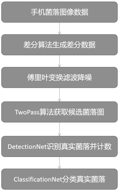 Detection method and system for qualitatively and quantitatively detecting different wound bacteria based on machine learning